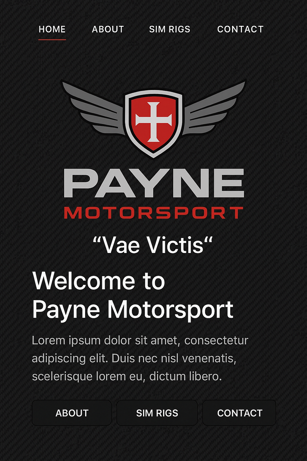 Payne Motorsport Logo